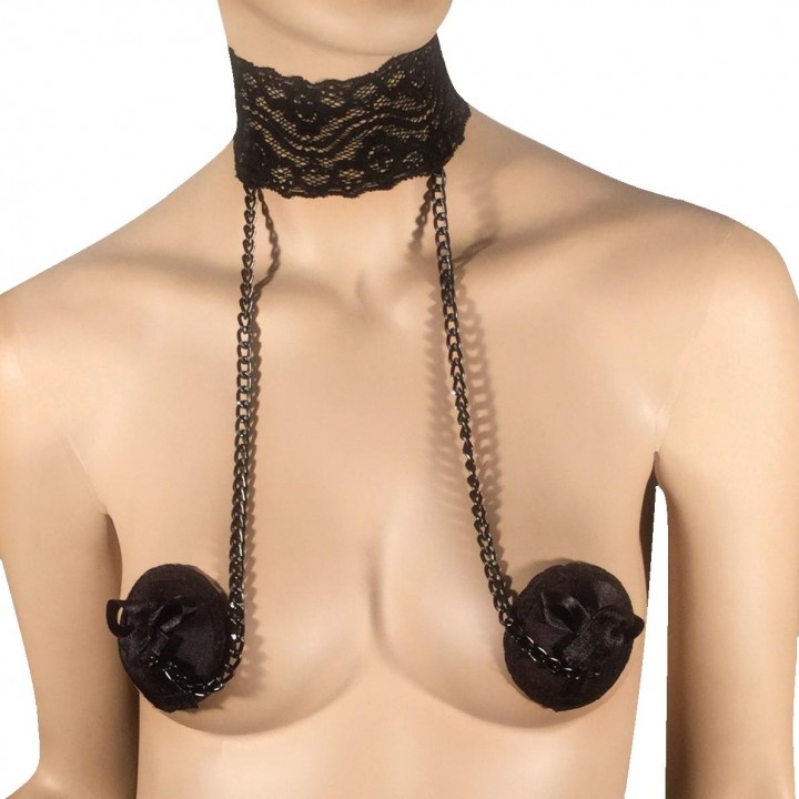 Amazing lace choker with nipples accessories in fantastic colors